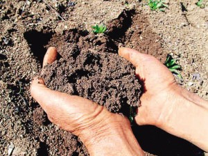 护土壤，保健康——说说土壤污染的危...